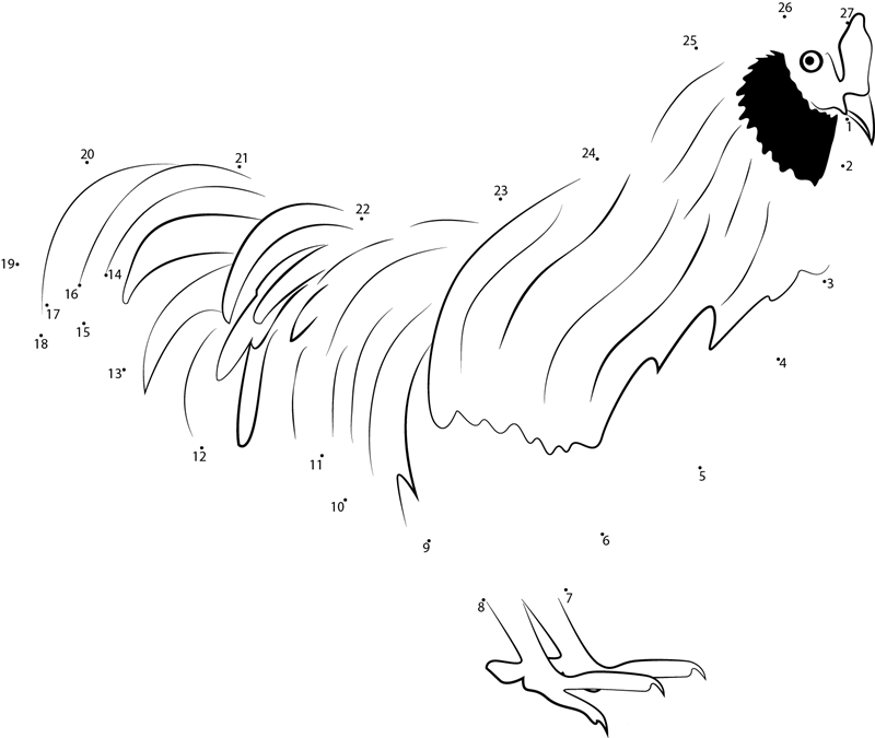 Black Chicken printable dot to dot worksheet