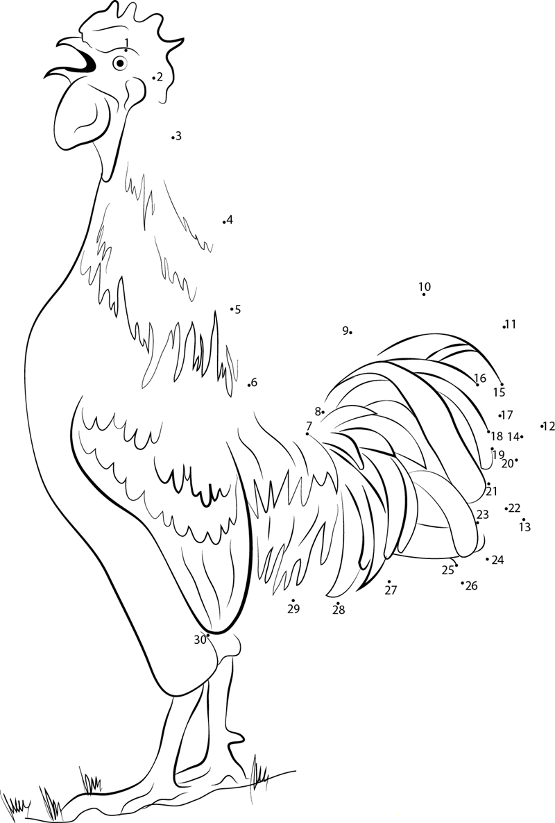 Chicken printable dot to dot worksheet