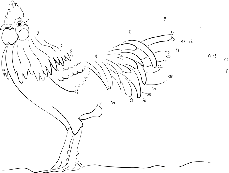 Chicken On Walking Short printable dot to dot worksheet