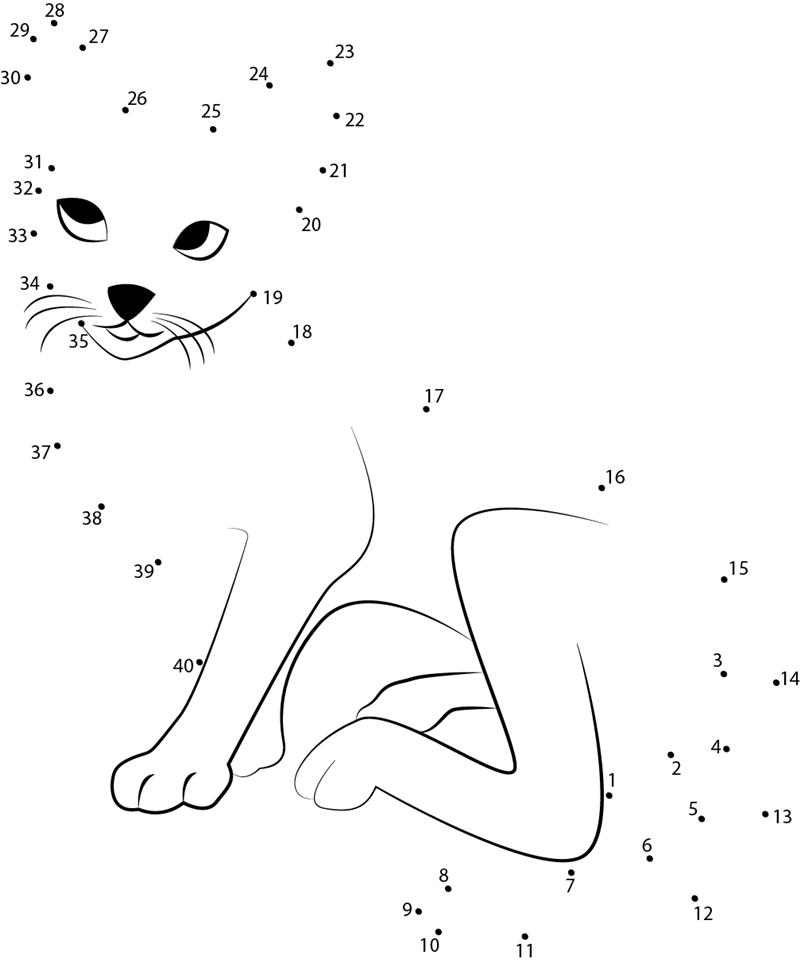 White Grey Cat dot to dot worksheets