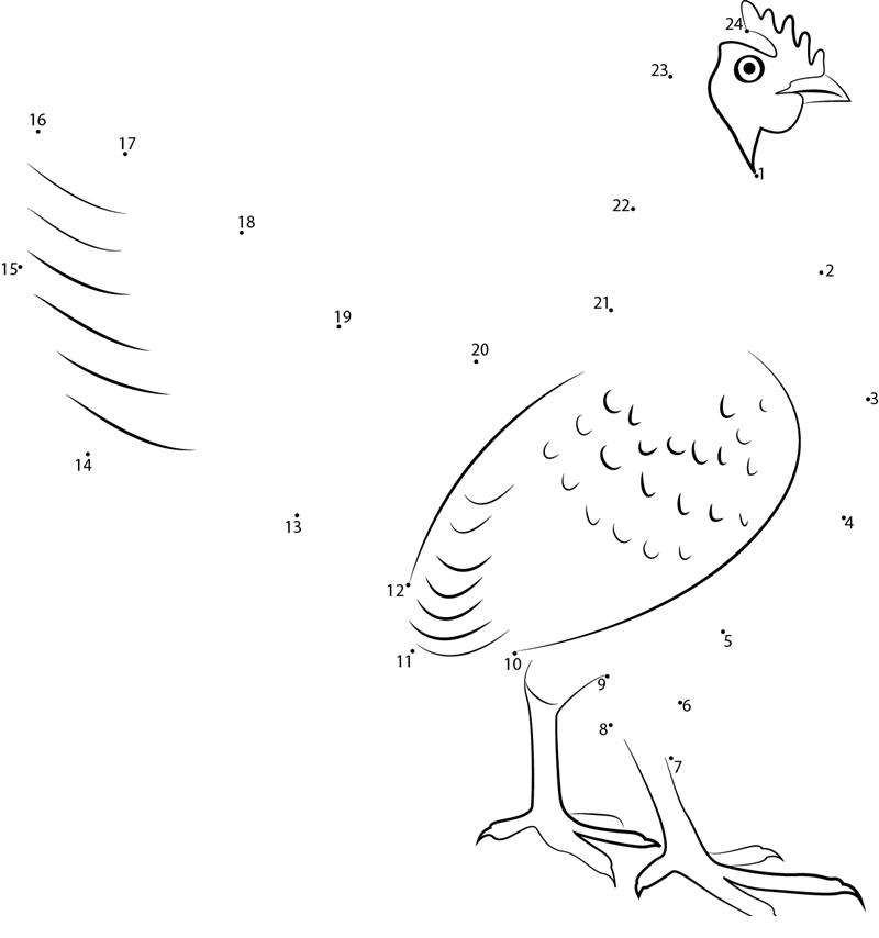 Chickens Are Always Looking printable dot to dot worksheet