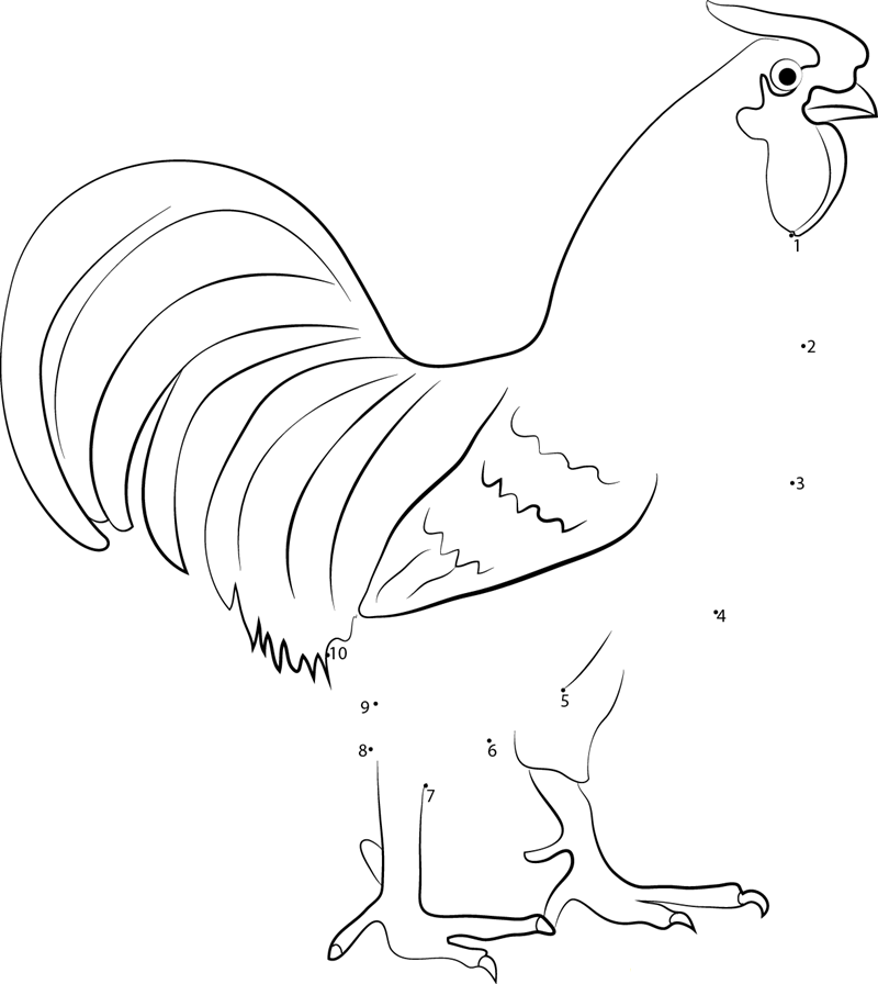 Colourful Chicken printable dot to dot worksheet