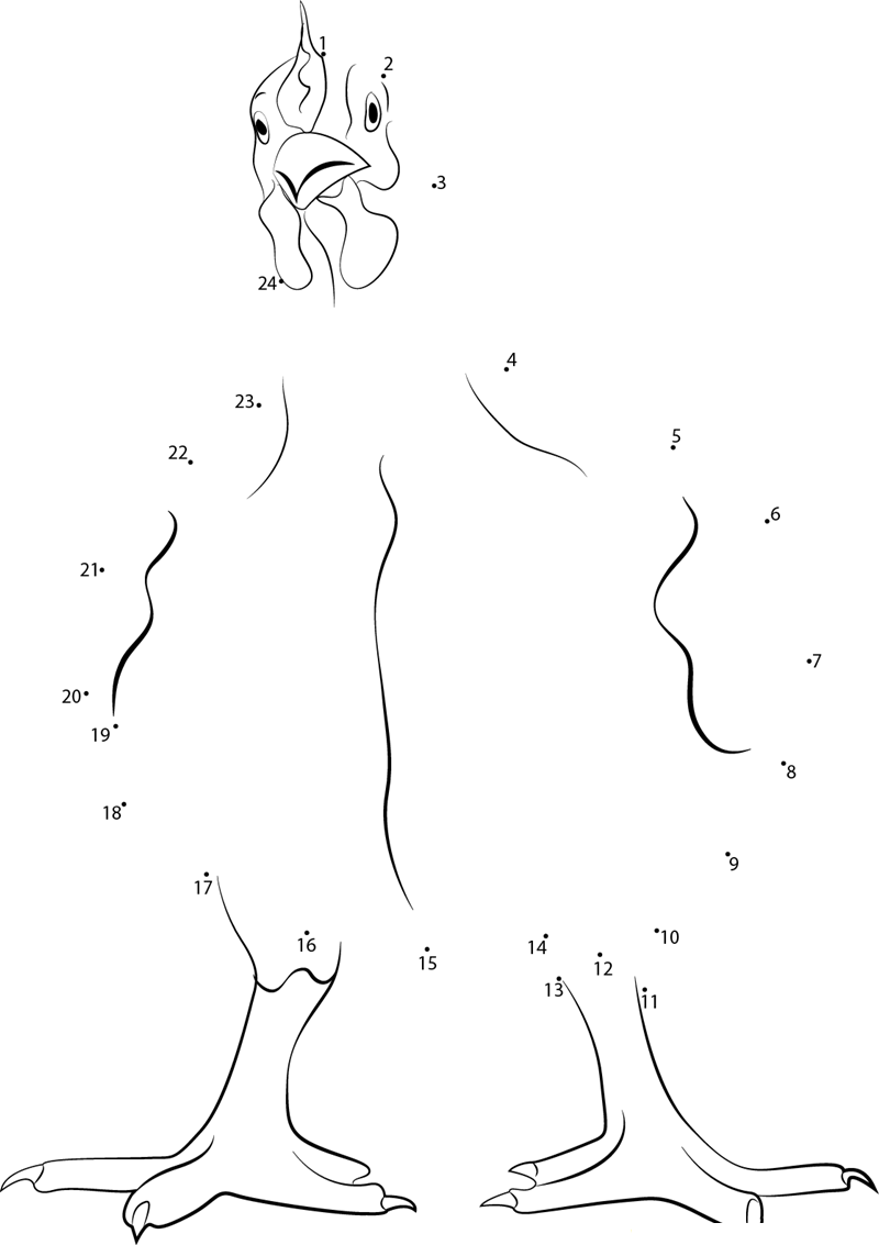 Live Chicken dot to dot worksheets