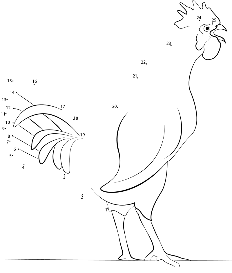 Raising Laying Hens dot to dot worksheets