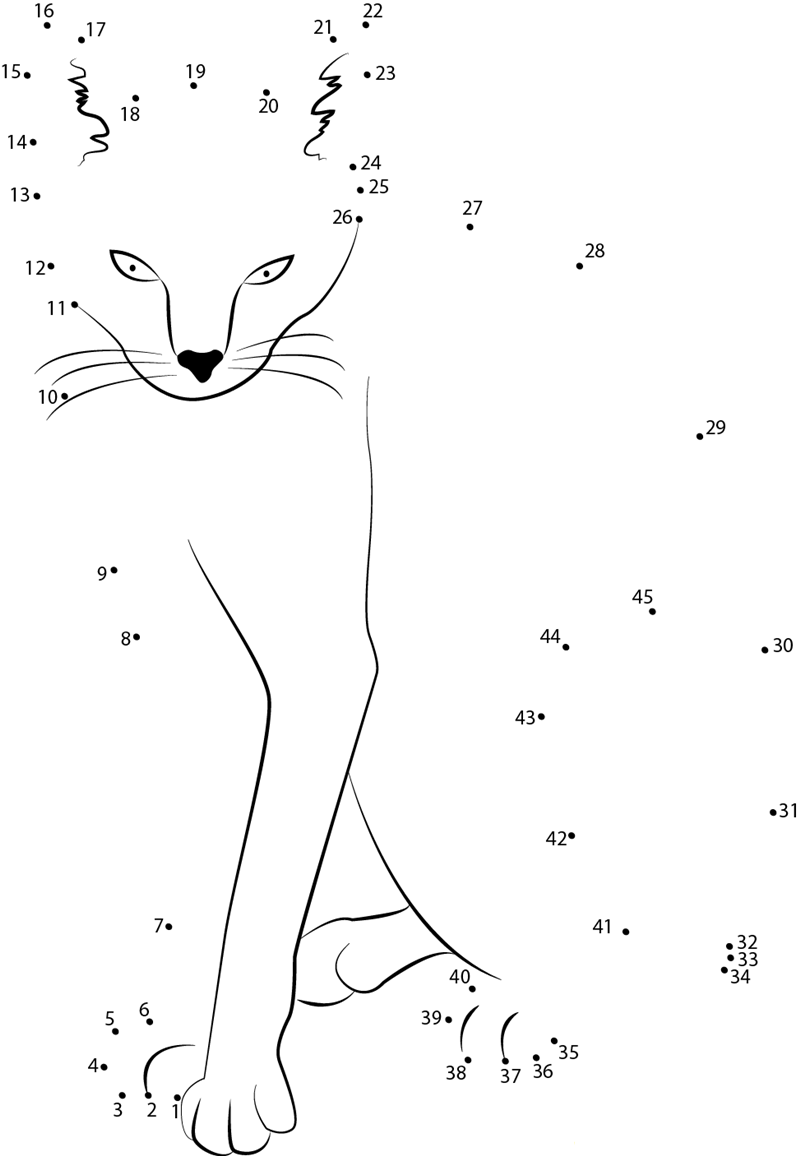 Wow Cat dot to dot worksheets