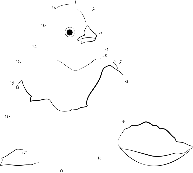 Birds Chick Coming Out Of His Shell dot to dot worksheets