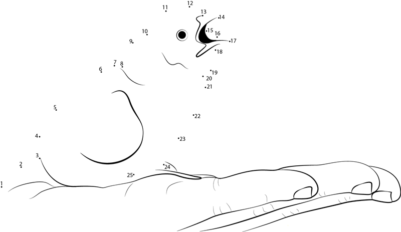 Chick Hand printable dot to dot worksheet