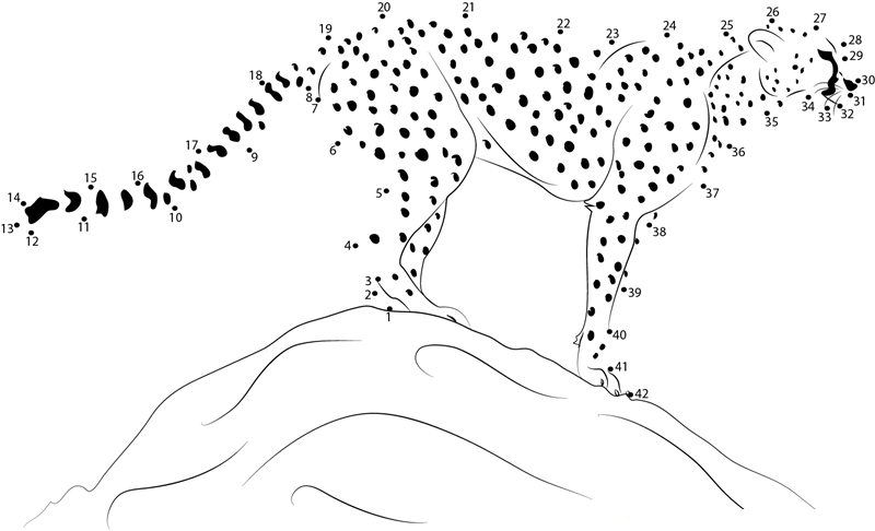 Adult Cheetah Standing printable dot to dot worksheet