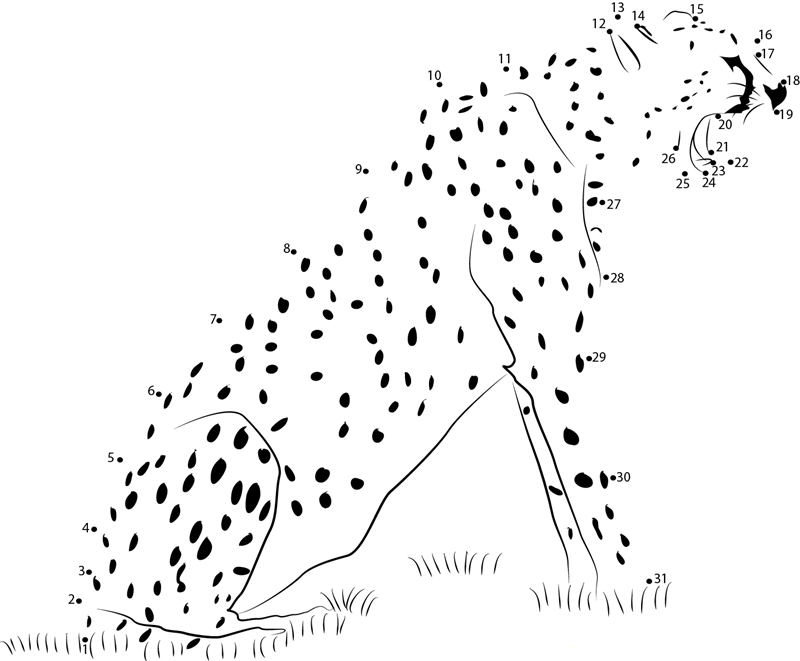 Animal State Cheetah printable dot to dot worksheet