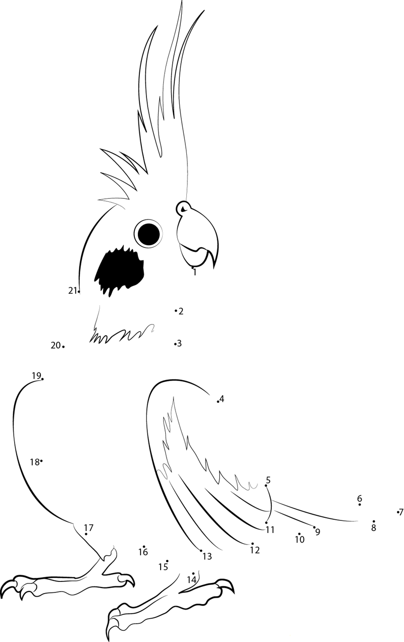 Cockatiel Bird dot to dot worksheets