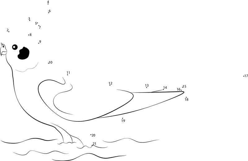 Cockatiel Bird In Nature dot to dot worksheets