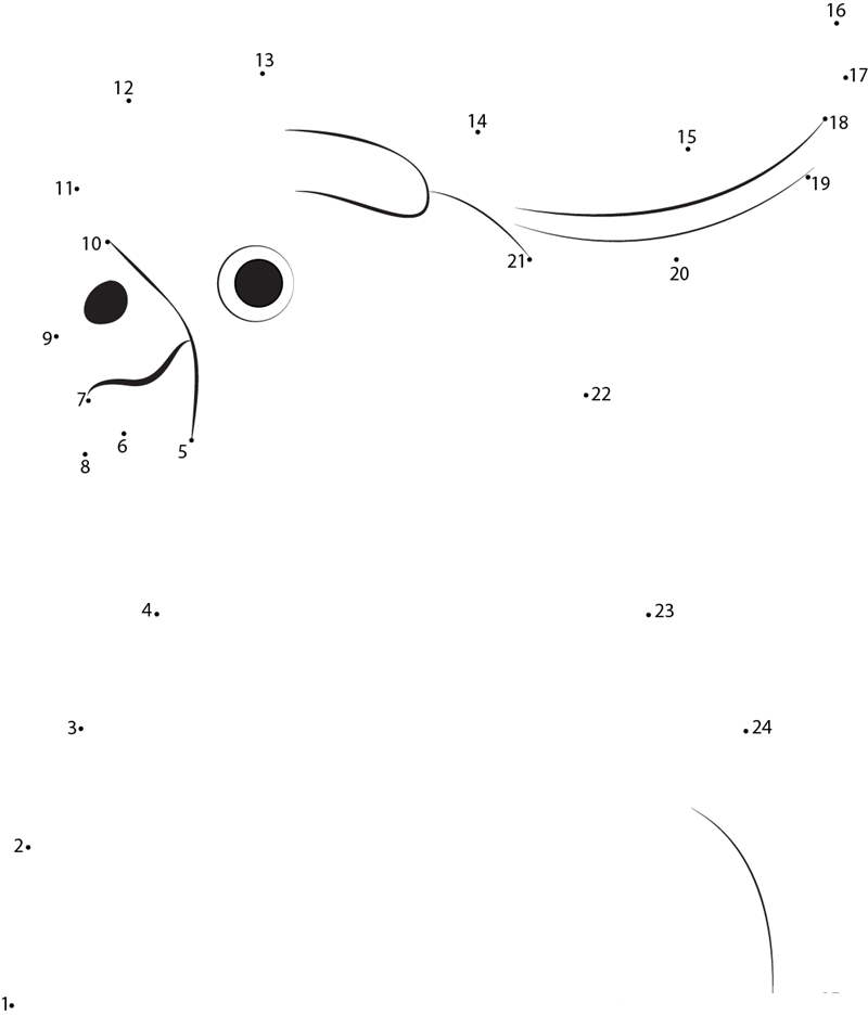 Cockatiel Head dot to dot worksheets