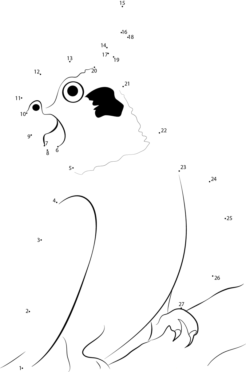 Cute Cockatiel Bird dot to dot worksheets