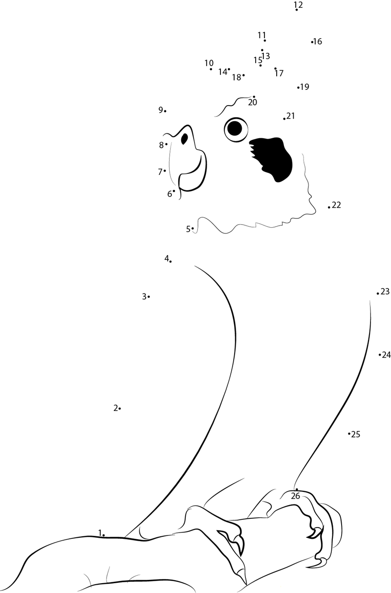 Normal Cockatiels printable dot to dot worksheet