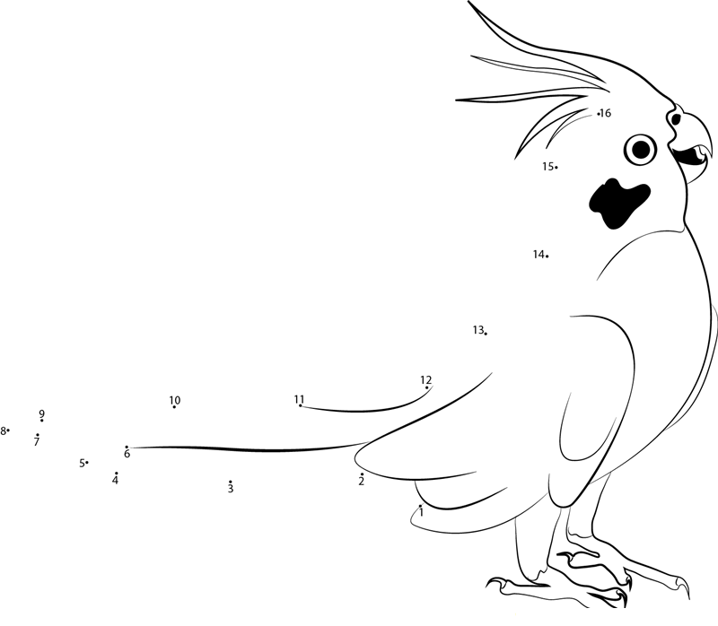 Singing Cockatiel printable dot to dot worksheet