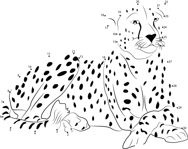 Cheetah printable dot to dot worksheet