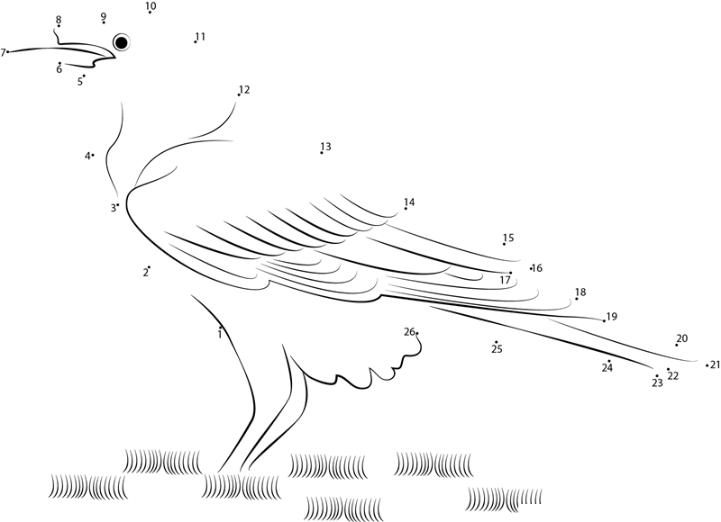 A Beautiful Black Raven dot to dot worksheets