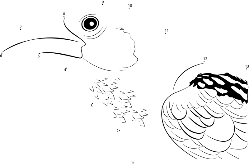 Close Up Of Raven dot to dot worksheets