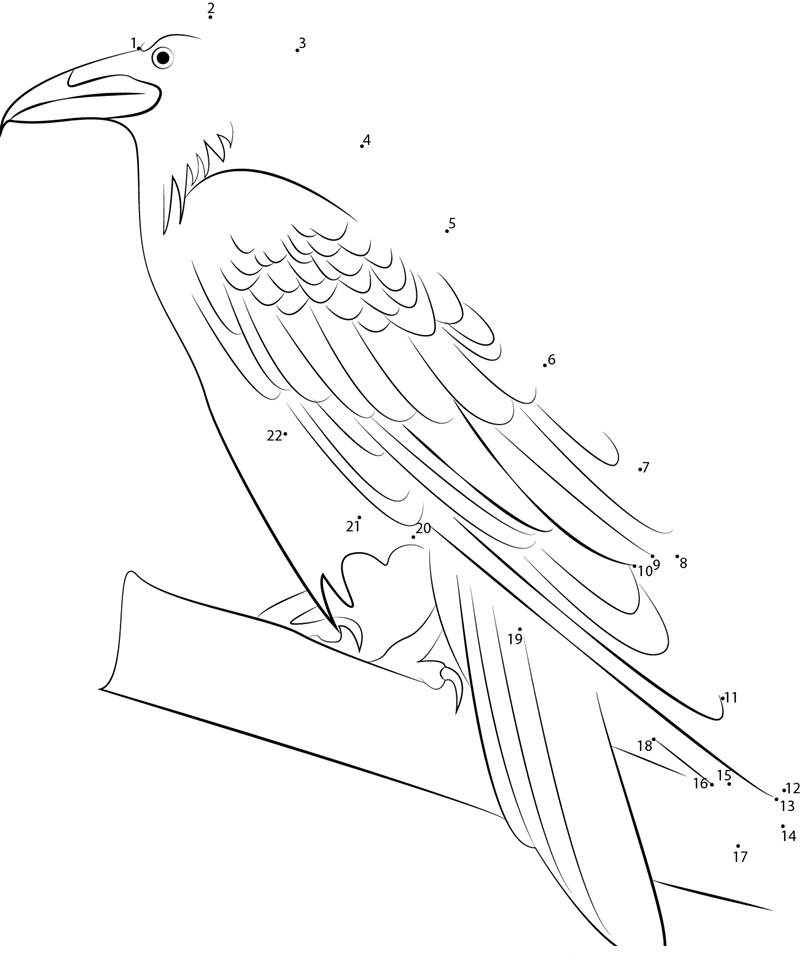 Female Raven printable dot to dot worksheet