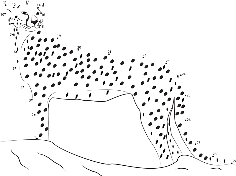 Cheetah Attacks printable dot to dot worksheet