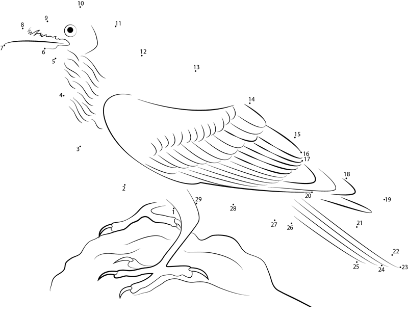 Forest Raven printable dot to dot worksheet