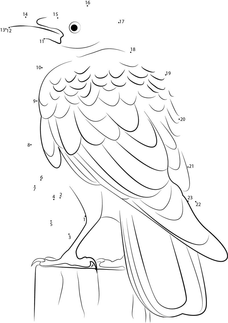 Raven Bird printable dot to dot worksheet