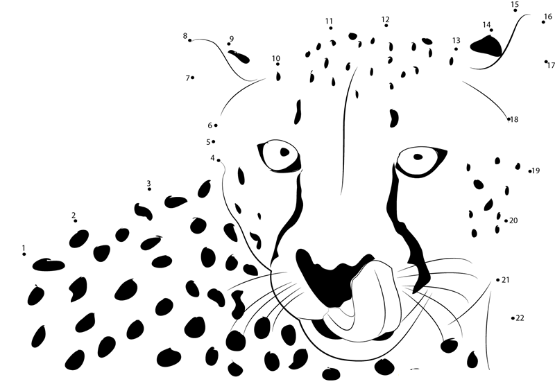 Cheetah Face printable dot to dot worksheet