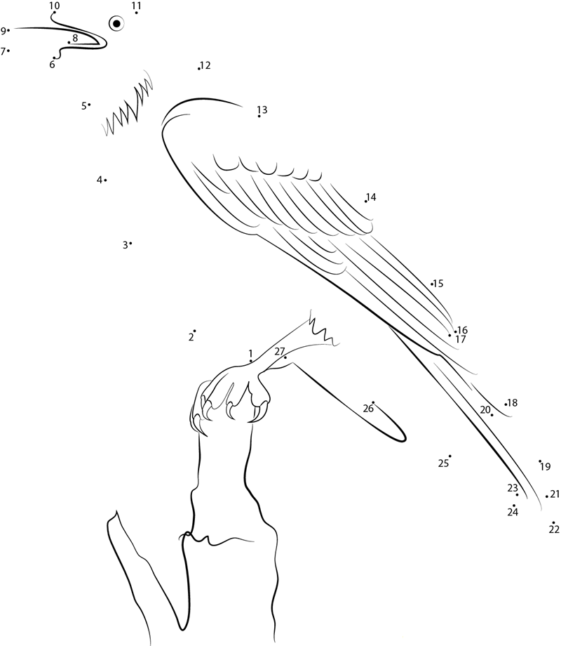 Raven Crow dot to dot worksheets