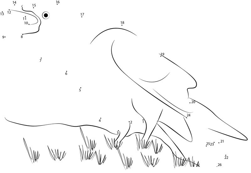 Raven Walking On Grass printable dot to dot worksheet