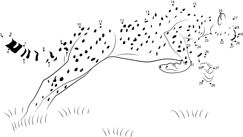 Cheetah Jump printable dot to dot worksheet