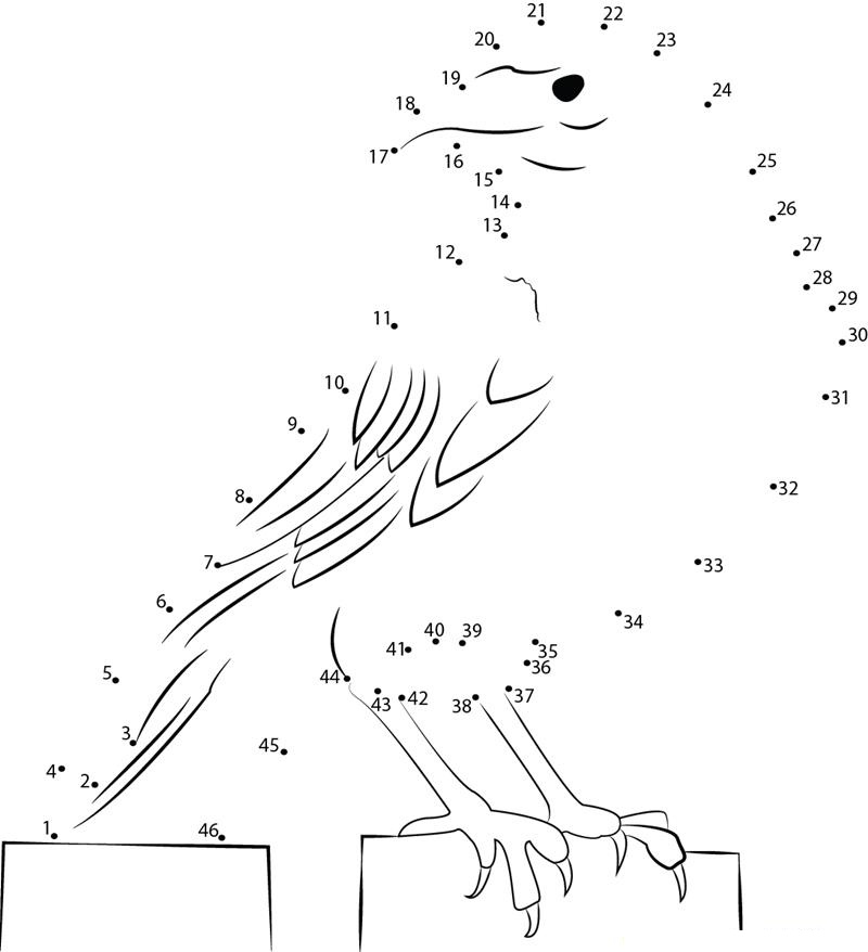 Smart Crow printable dot to dot worksheet