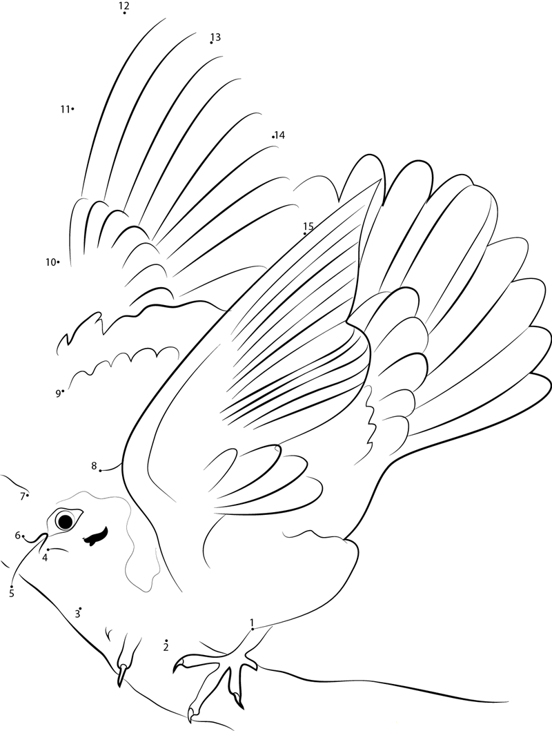 Amazing Fruit Dove dot to dot worksheets