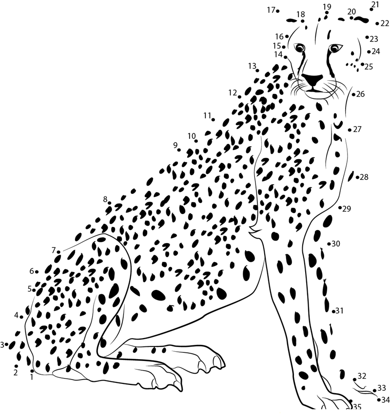 Cheetah Look At Me printable dot to dot worksheet