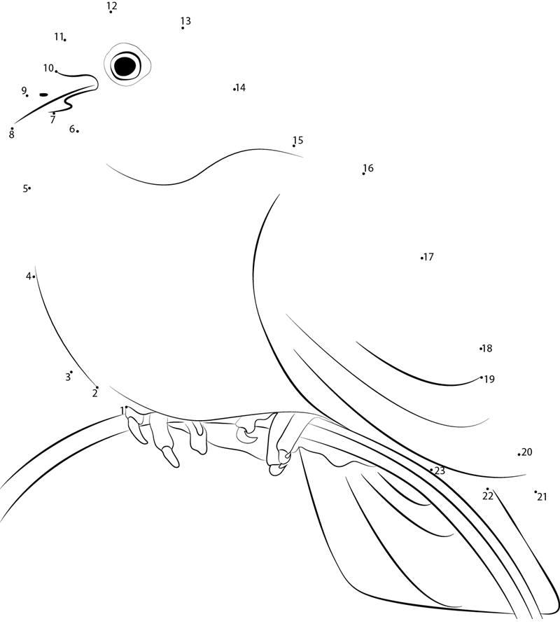 Beautiful White Dove printable dot to dot worksheet