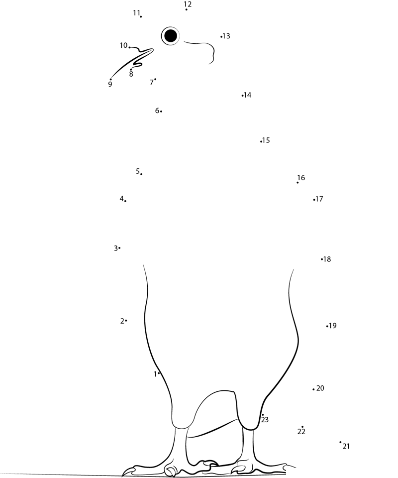 Domestic Ringneck Dove dot to dot worksheets