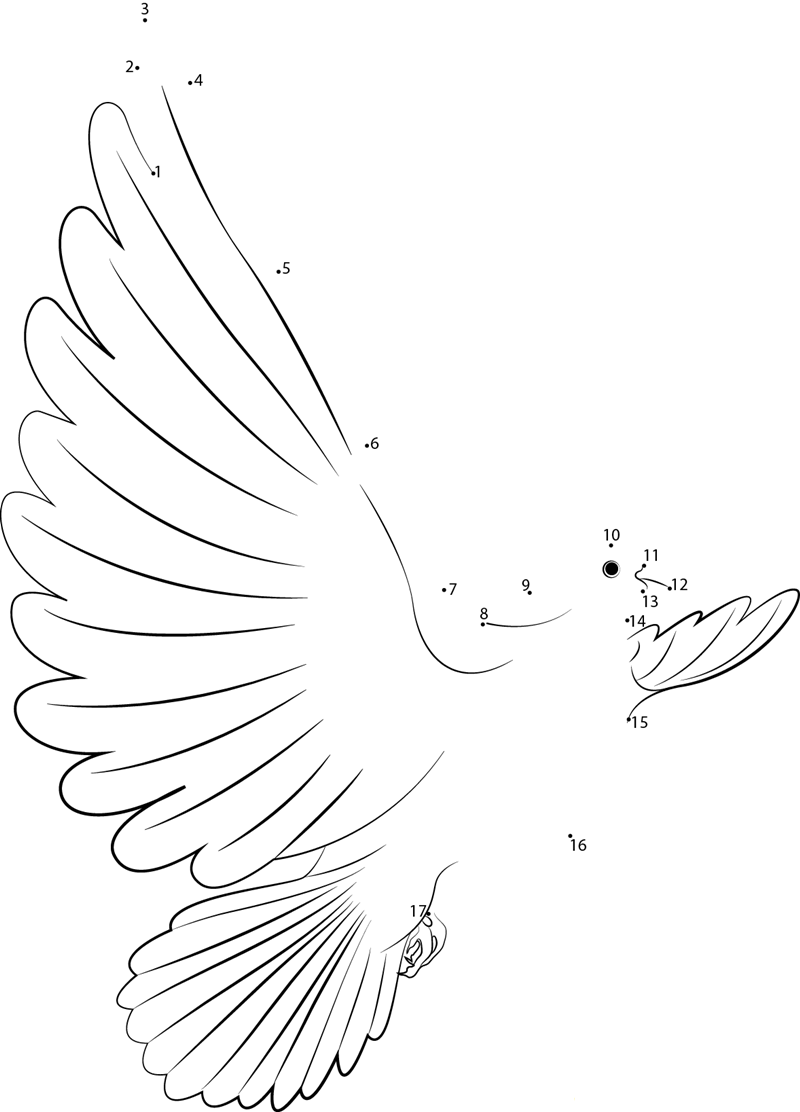 Dove In Flight printable dot to dot worksheet