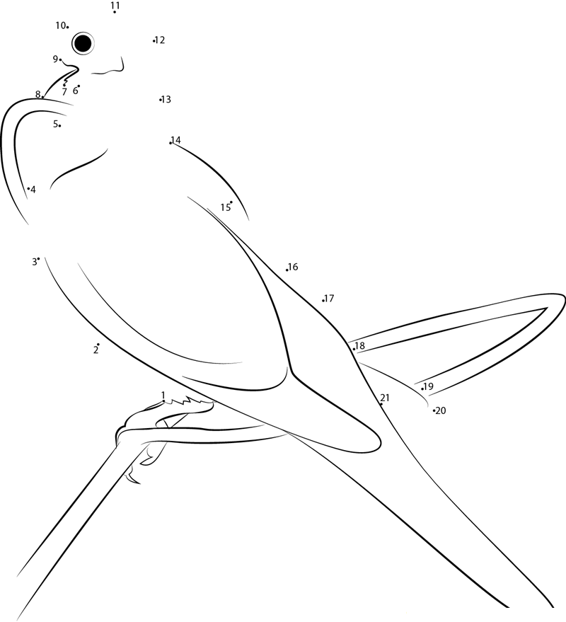 Dove Mourning Adult dot to dot worksheets