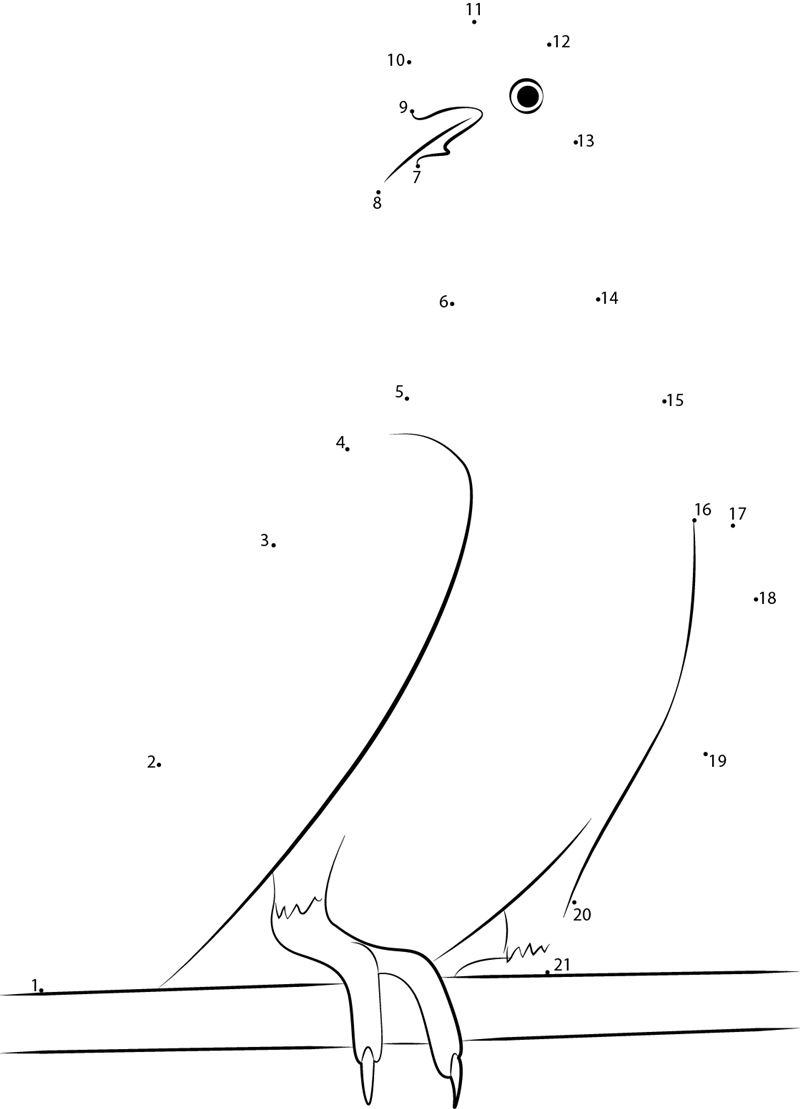 Love Dove dot to dot worksheets