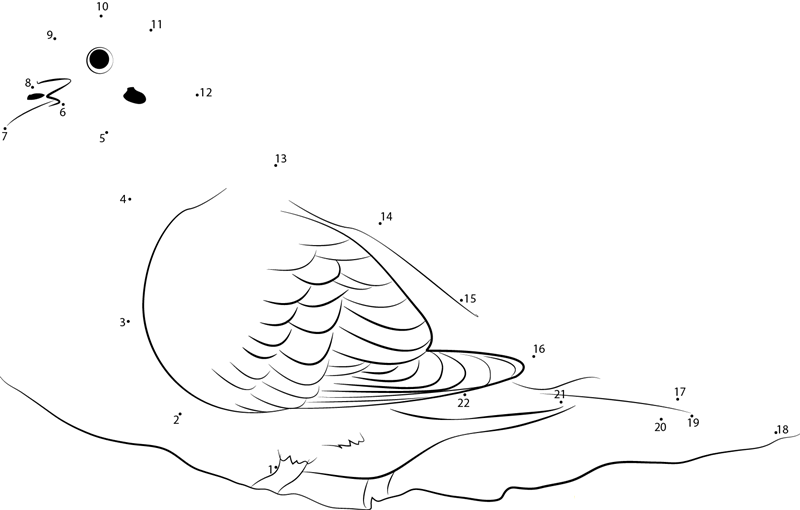 Male Mourning Dove printable dot to dot worksheet