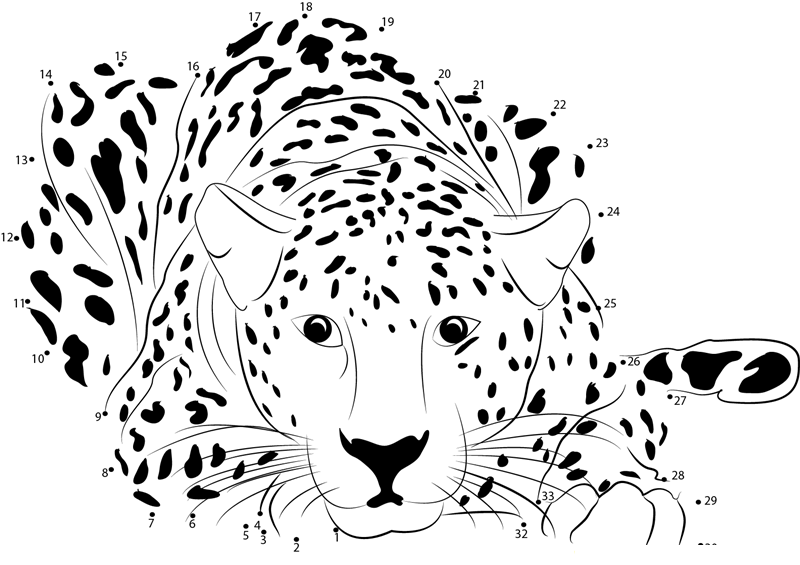 Cheetah Sitting printable dot to dot worksheet