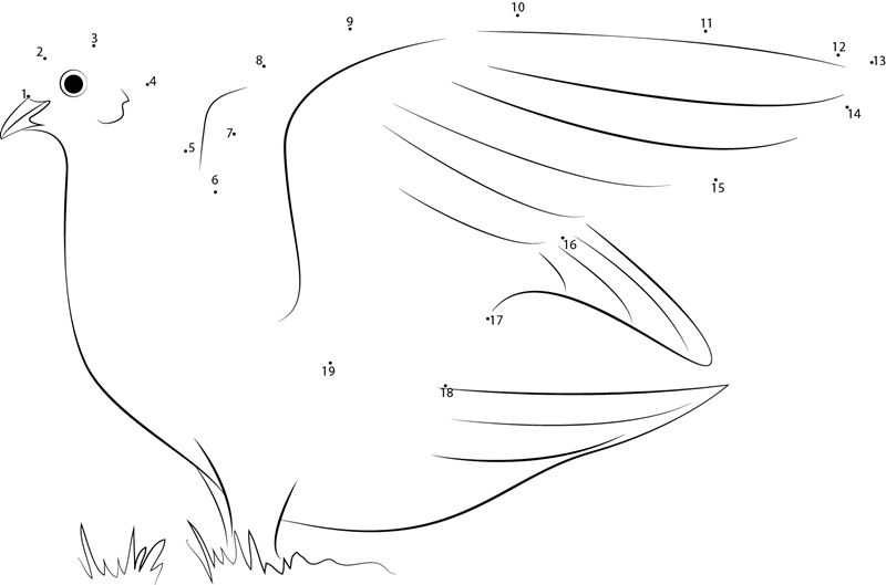 White Dove Ready To Fly dot to dot worksheets