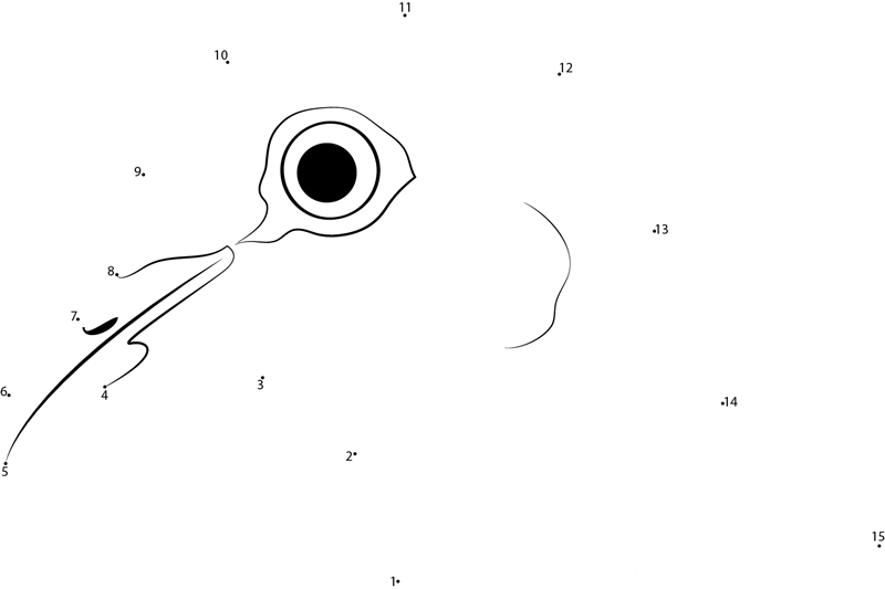 White Dove Ring Enhanced dot to dot worksheets