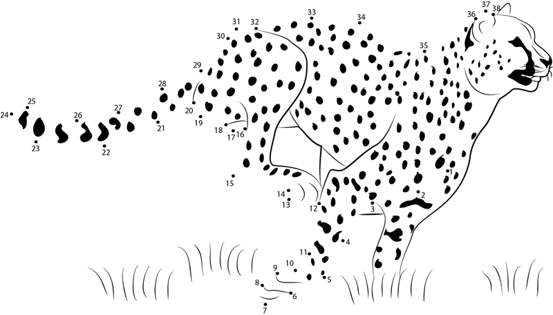 Cheetah Speed Running printable dot to dot worksheet