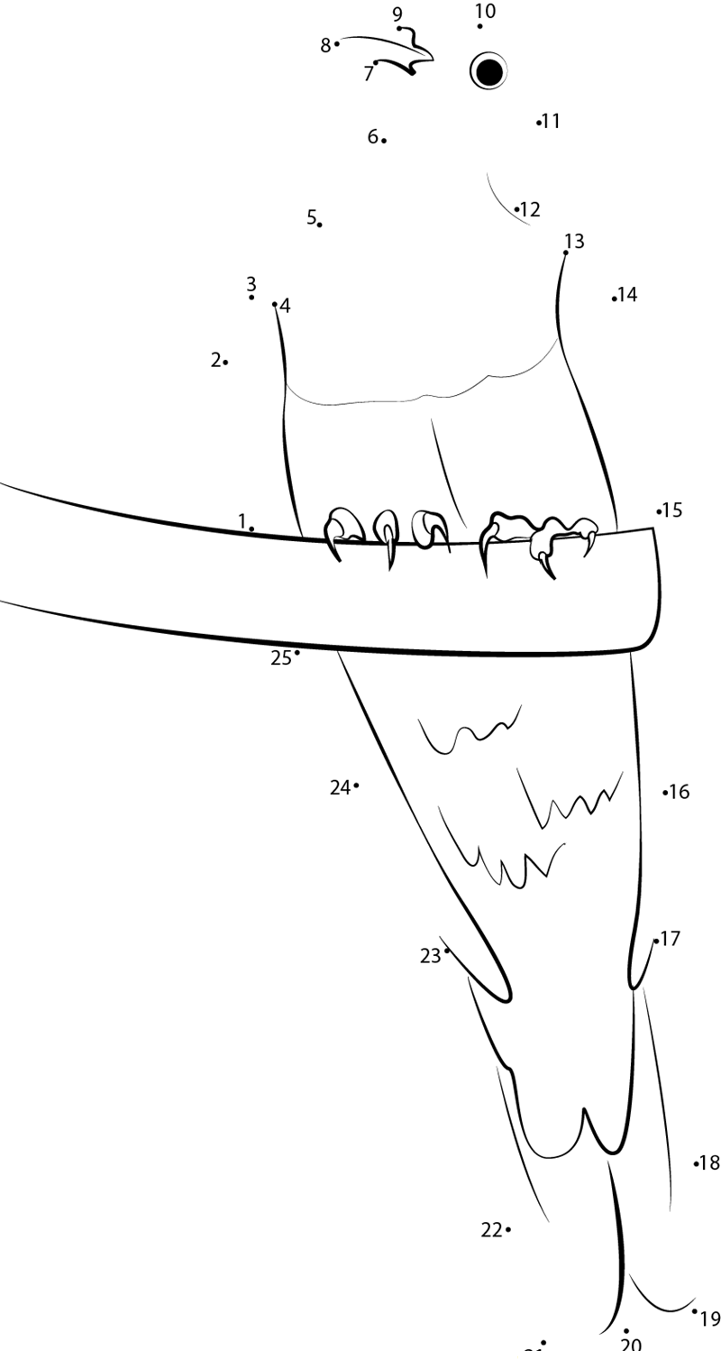 Yellow Bibbed Fruit Dove dot to dot worksheets