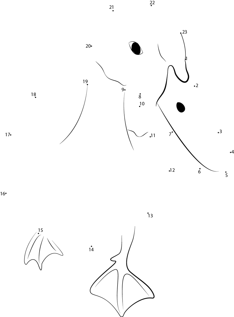 Animal Duck dot to dot worksheets