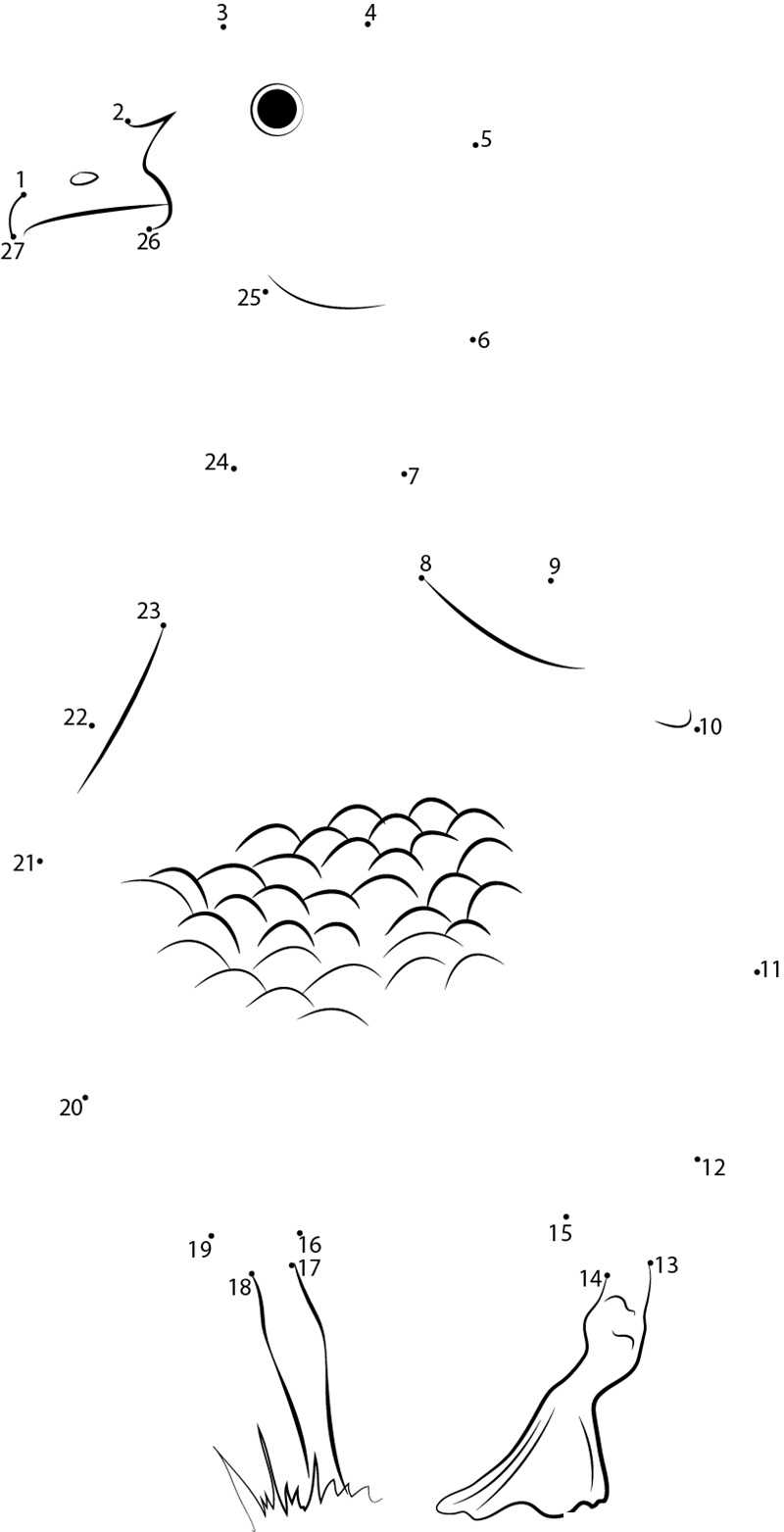 Australian Wood Duck Male dot to dot worksheets