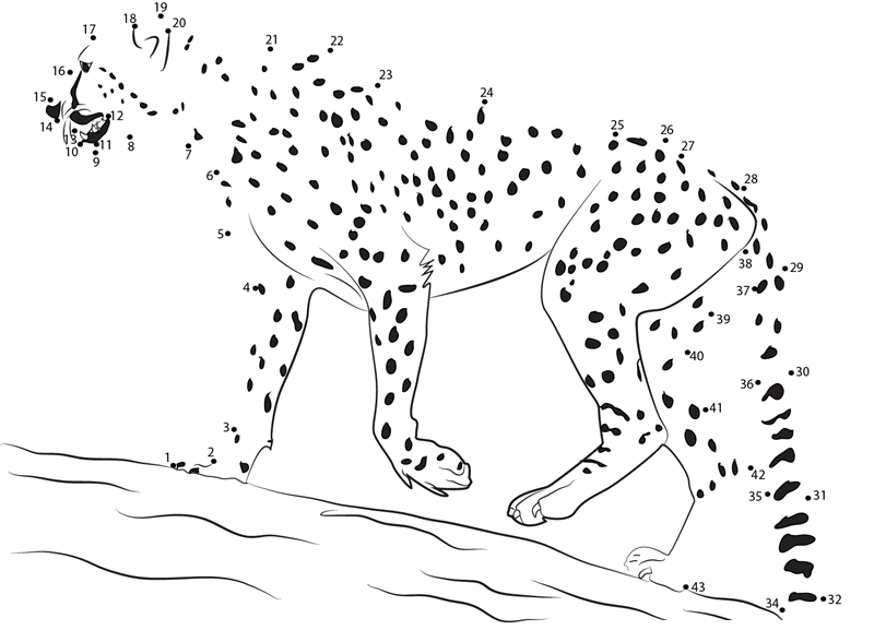 Cheetah Walk printable dot to dot worksheet