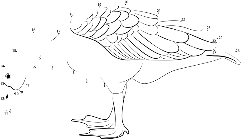 Big Duck dot to dot worksheets