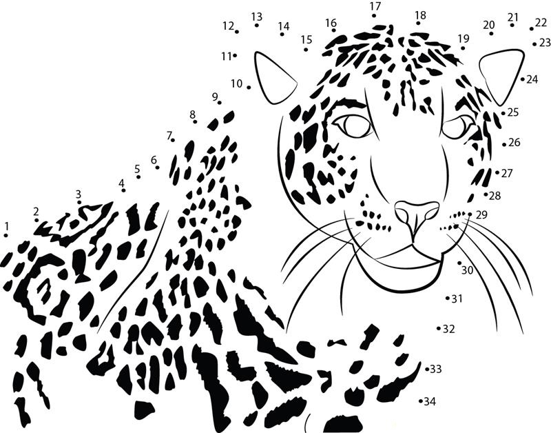 Fast Runner Cheetah printable dot to dot worksheet