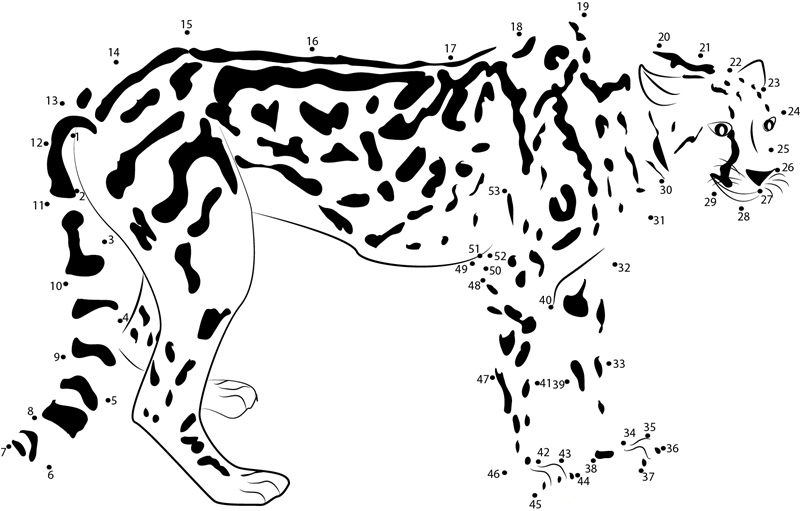 King Cheetah dot to dot worksheets